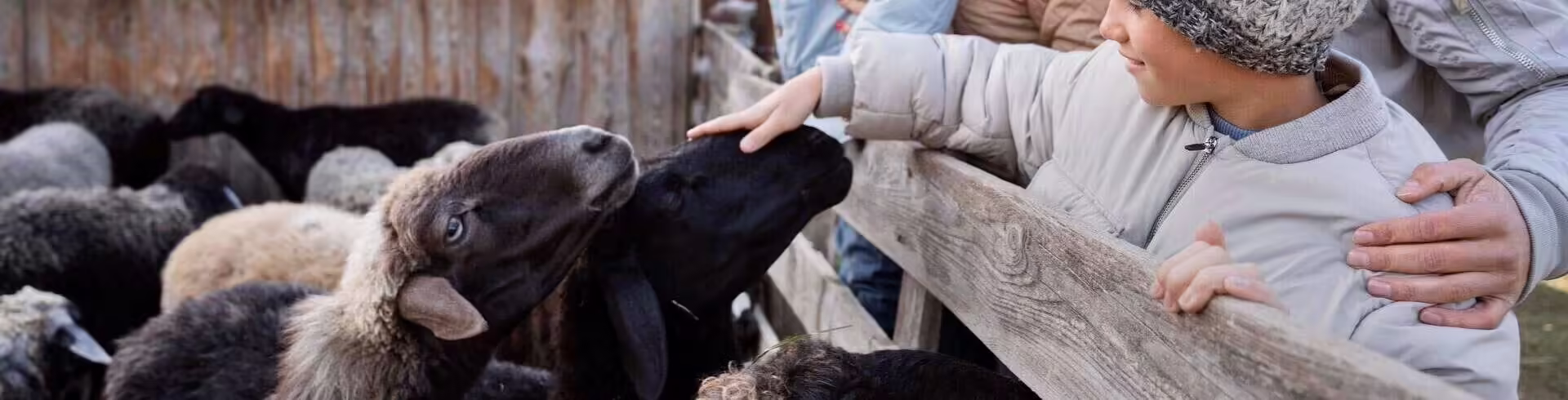 La Ferme Ouverte – Saint-Denis